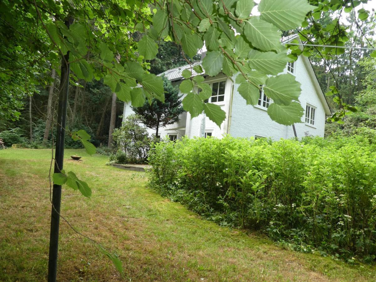 Ferienwohnung Niemann In Lutterloh Unterluss Zewnętrze zdjęcie